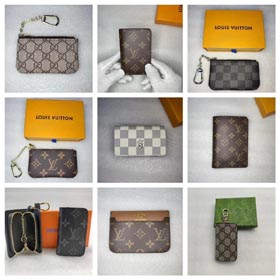 Louis Vuitton LV Gucci Karte Fall-0171  