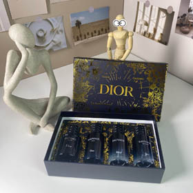 Dior Gold Box Wilderness Medium 4-teiliges Set-3448  
